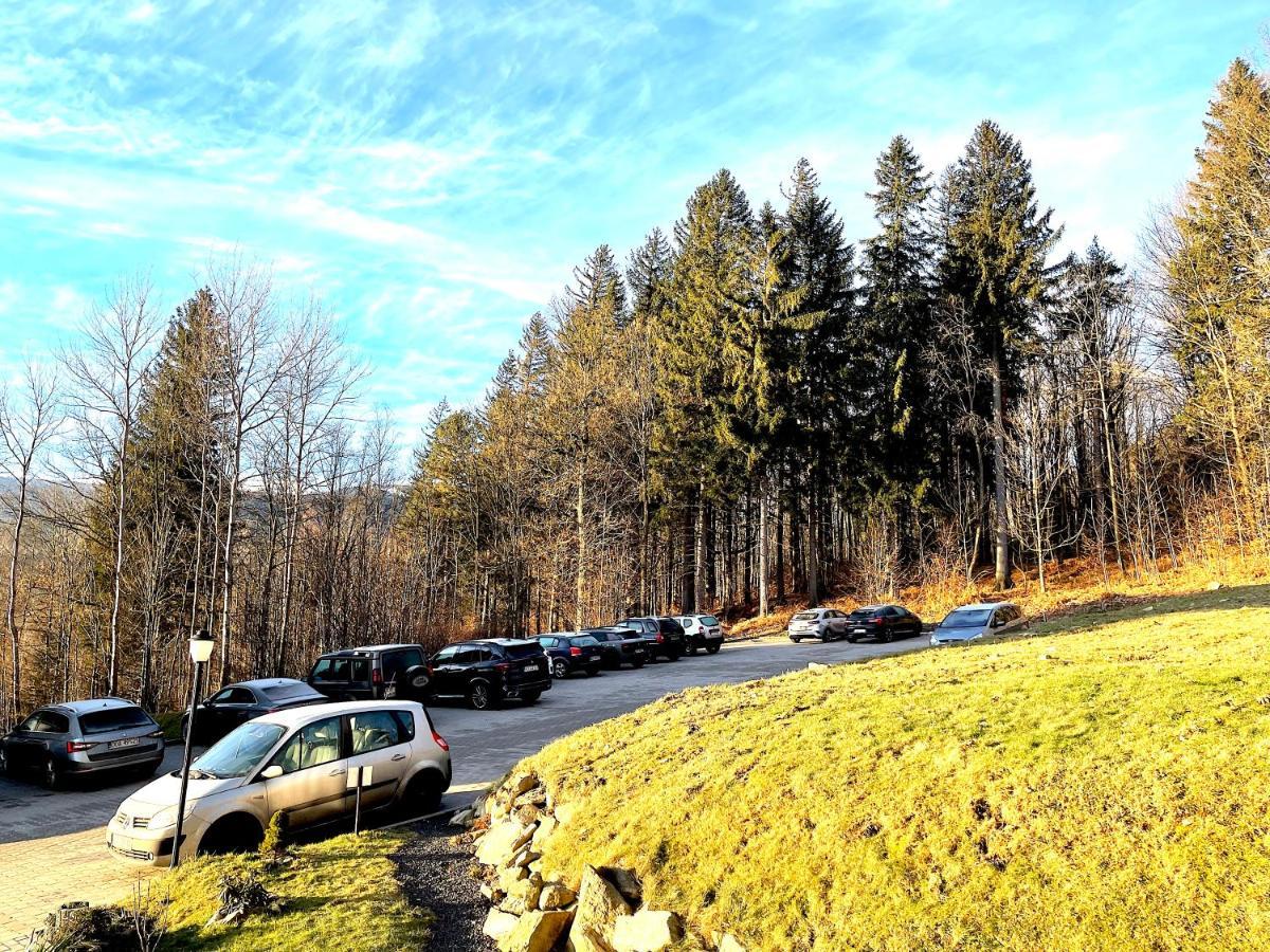 Świeradów-Zdrój Apartamenty Superior Izery Cicha-Free Parking מראה חיצוני תמונה